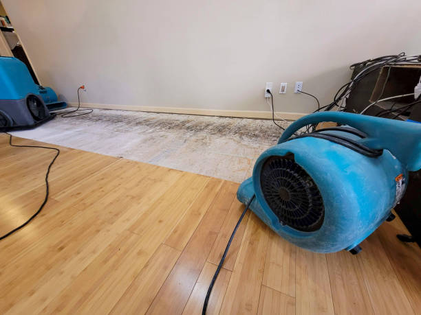 Professional Water Removal technician working in Lamar, SC